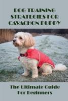 Dog Training Strategies For Cavachon Puppy
