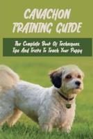 Cavachon Training Guide