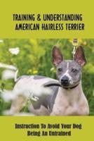 Training & Understanding American Hairless Terrier