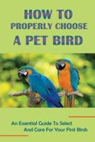How To Properly Choose A Pet Bird