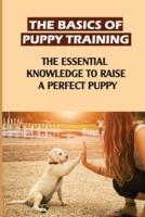 The Basics Of Puppy Training
