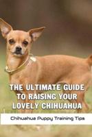 The Ultimate Guide To Raising Your Lovely Chihuahua
