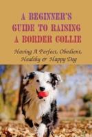A Beginner's Guide To Raising A Border Collie