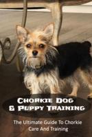 Chorkie Dog & Puppy Training