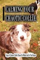 Calming Your Chaotic Collie