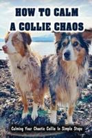 How To Calm A Collie Chaos