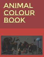 Animal Colour Book