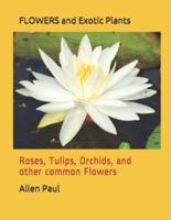 FLOWERS and Exotic Plants: Roses, Tulips, Orchids, and other common Flowers