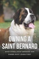 Owning A Saint Bernard