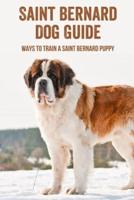 Saint Bernard Dog Guide