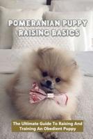 Pomeranian Puppy Raising Basics