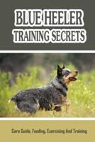Blue Heeler Training Secrets