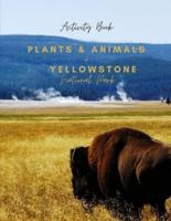 Plants & Animals of Yellowstone National Park: Activity Book