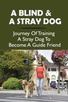 A Blind & A Stray Dog