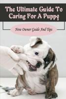 The Ultimate Guide To Caring For A Puppy