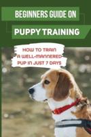 Beginners Guide On Puppy Training
