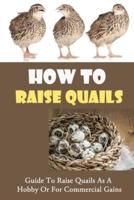 How To Raise Quails