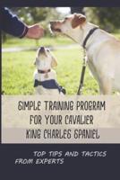 Simple Training Program For Your Cavalier King Charles Spaniel