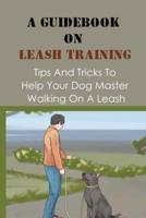 A Guidebook On Leash Training