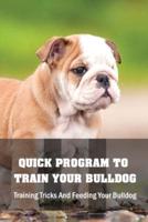 Quick Program To Train Your Bulldog