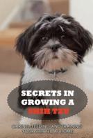 Secrets In Growing A Shih Tzu