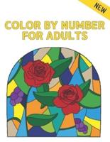 Color by Number Adults