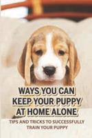 Ways You Can Keep Your Puppy At Home Alone
