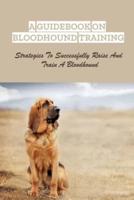 A Guidebook On Bloodhound Training