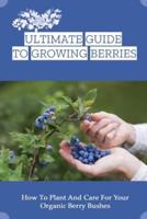 Ultimate Guide To Growing Berries