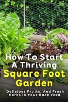 How To Start A Thriving Square Foot Garden