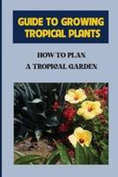 Guide To Growing Tropical Plants