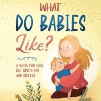 What do babies like?: A book for soon-to-be big brothers and sisters
