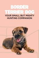 Border Terrier Dog: Your Small but Mighty Hunting Companion: Border Terrier Breed Info, Pictures, Facts and Care Guide