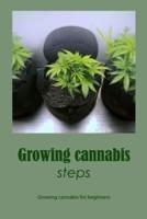 Growing cannabis steps: Growing cannabis for beginners: Creating beginners' marijuana