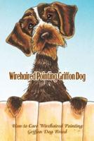 Wirehaired Pointing Griffon Dog: How to Care Wirehaired Pointing Griffon Dog Breed: Wirehaired Pointing Griffon Dog Breed Information, Characteristics & Heath