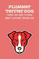 Plummer Terrier Dog: Things You Need to Know About Plummer Terrier Dog: Learn Everything About Plummer Terrier Dog