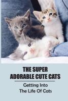The Super Adorable Cute Cats
