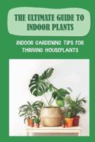The Ultimate Guide To Indoor Plants