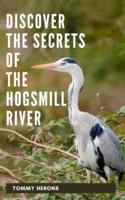 Discovering the Secrets of The Hogsmill River.