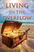 Living In The Overflow