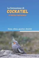 la formazione di cockatiel e piccoli pappagalli: Metodo di addestramento per cockatiel