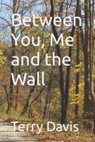Between You, Me and the Wall