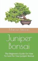 Juniper Bonsai :  The Beginners Guide On How To Care For Your Juniper Bonsai