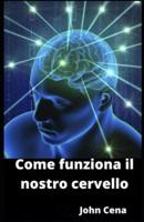 Come funziona il nostro cervello