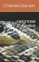 Hegnose Snake as Pet