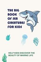 The Big Book Of Sea Creatures For Kids