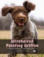 Wirehaired Pointing Griffon: Choose best dog breeds for you