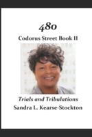 480 Codorus Street Book : Trials and Tribulations
