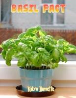 BASIL FACT:  BASIL fact for girl age 1-10   BASIL fact for boy age 1-10  facts about all about BASIL