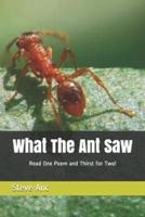 What The Ant Saw: Read One Poem and Thirst for Two!